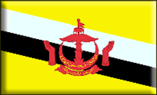 [domain] Brunei Flaga