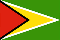 [domain] Guyana Flaga